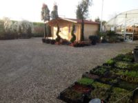 Vivai a Ferrara</br>Punto Vendita