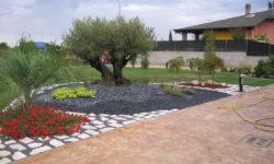Realizzazione giardini a Ferrara