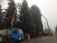 Manutenzione </br>aree verdi a Ferrara